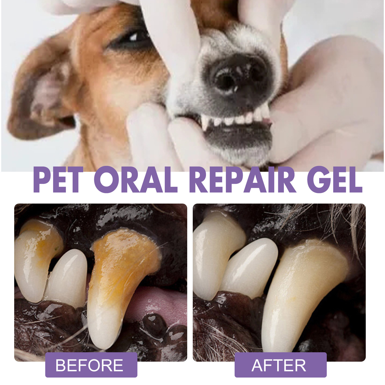 Gel per la riparazione orale d - Teeth Whitening Near Me recensione e prezzo